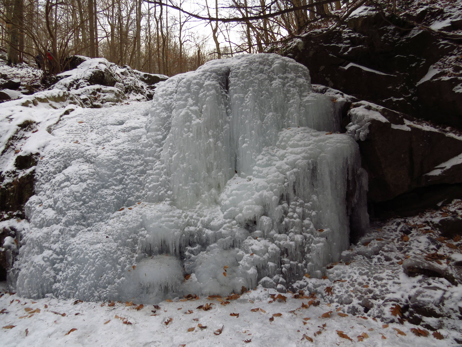 A frozen Cascade Falls in Patapsco Valley State Park near Ellicott City, Maryland on Jan. 4. (Courtesy Carl Wright)