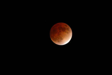 Catch the rare super blue blood moon Wednesday