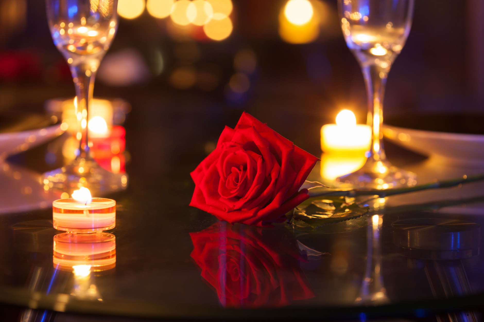 Single rose in a romantic setting.