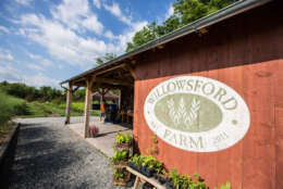 In addition to the 2,000 acres of open space, Willowsford also includes a 300-acre working farm and farm-to-table culinary program. (Courtesy Willowsford)