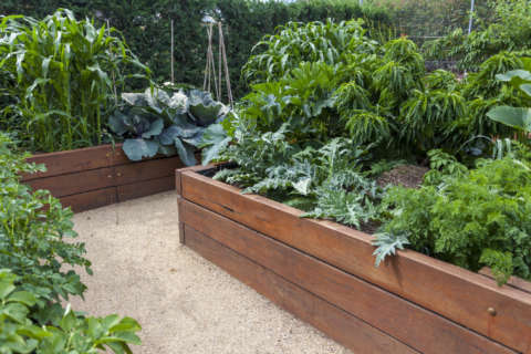 How to raise your garden bed