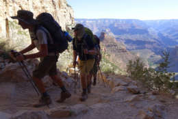 FILE - In this July 27, 2015, file photo, a long line of hikers head out of the Grand Canyon along the Bright Angel Trail at Grand Canyon National Park, Ariz. The National Park Service is floating a proposal to increase entrance fees at 17 of its most popular sites next year. (AP Photo/Ross D. Franklin, File)