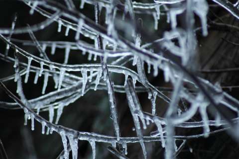 Extreme cold brings potential for hypothermia and frostbite: What to know