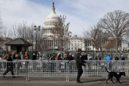 A Capitol Police K-9 unit works security as a line forms for the public viewing of the late Rev. Billy Graham at the Capitol, Wednesday, Feb. 28, 2018, in Washington. (AP Photo/Jacquelyn Martin)