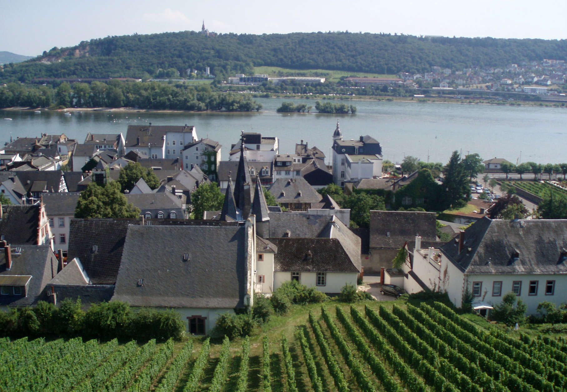 This July 2012 photo shows the countryside during a cable car ride in Rudesheim, Germany, while at a stop on a waterway tour on the the river ship Avalon Felicity. The small scale of river ships, which typically carry no more than a couple hundred passengers, is a large part of their appeal, in contrast to ocean-going mega-ships that carry thousands. On a river ship, you dont need a GPS device to figure out where the lobby or the dining room is. And theres a sense of intimacy, with plenty of cozy moments.  (AP Photo/Anne D'innocenzio)
