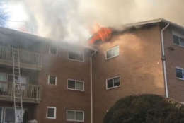 Fire tore through a building in the Fireside Park apartments, in Rockville, Maryland, Friday afternoon. (Courtesy Montgomery County Fire and Rescue)