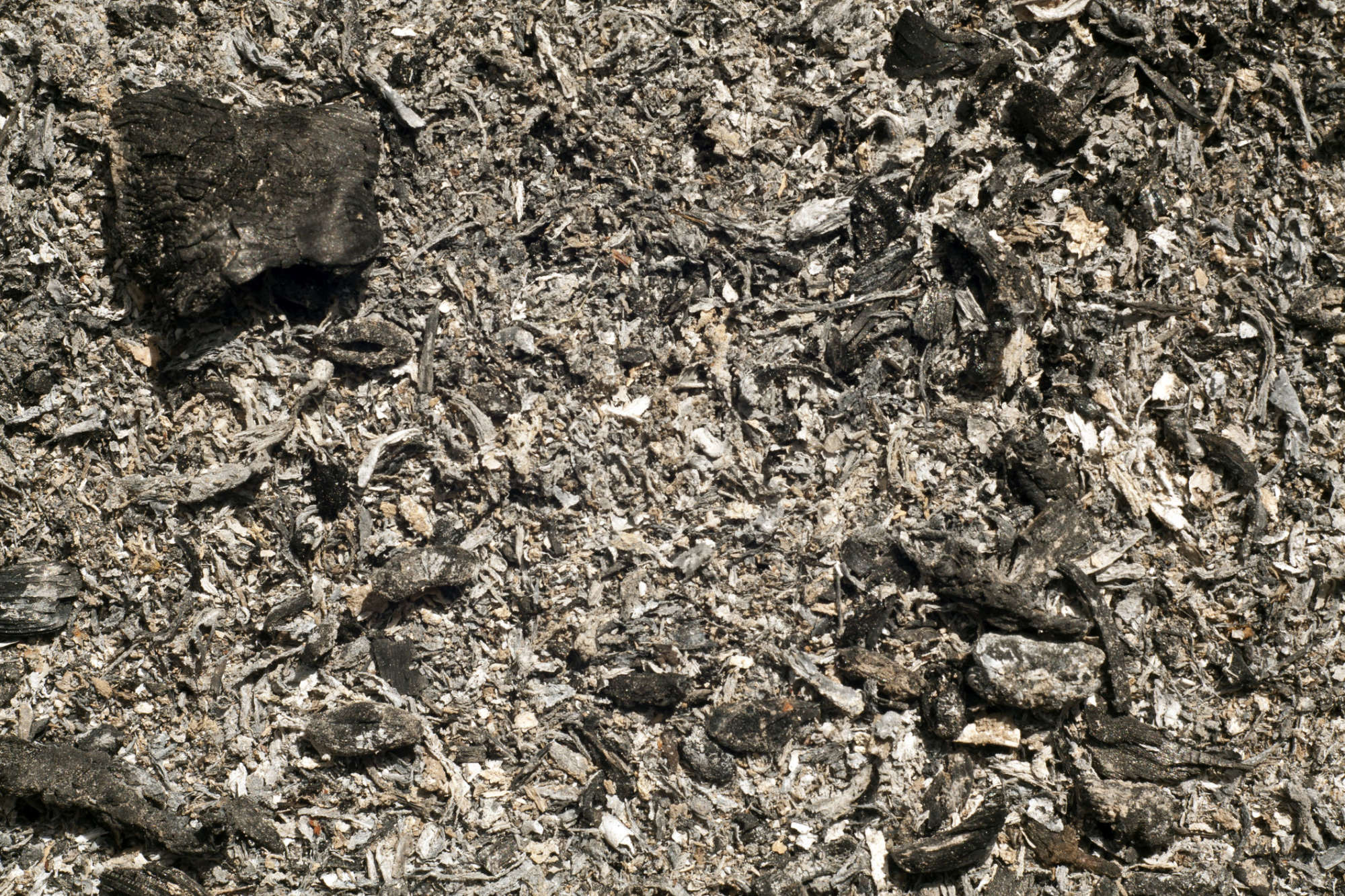 Using Wood Ash In Your Garden A Little Goes A Long Way Wtop