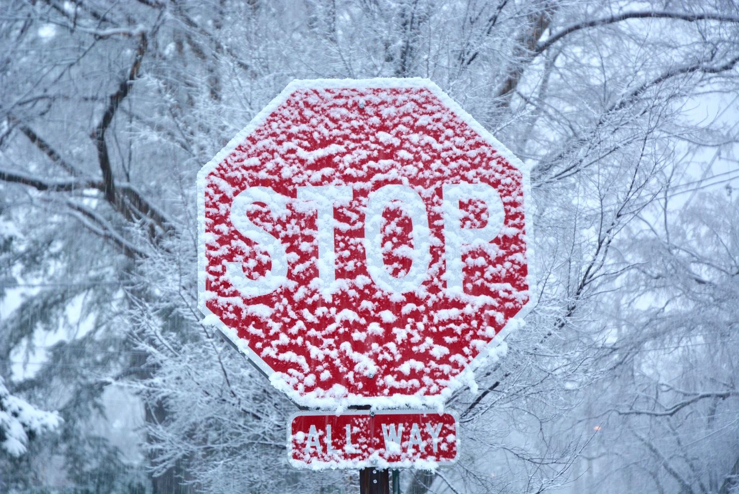 FILE — A stop sign is cloaked in light snow in February 2018. (WTOP/Dave Dildine) 