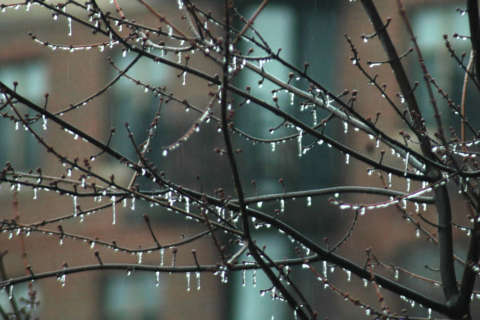 No April Fools’: DC area faces winter-like April 1