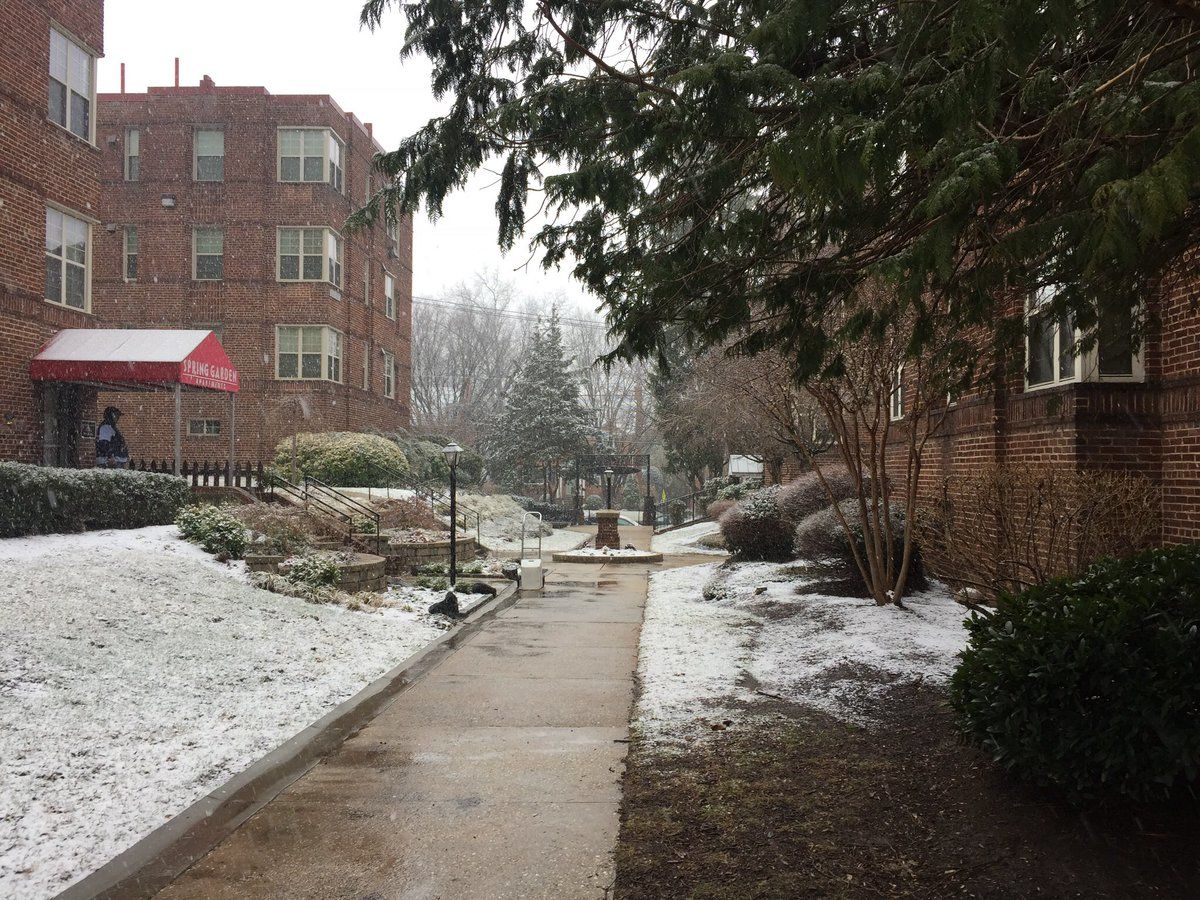 Snow falls Feb. 17 in Silver Spring. (WTOP/Patrick Roth)
