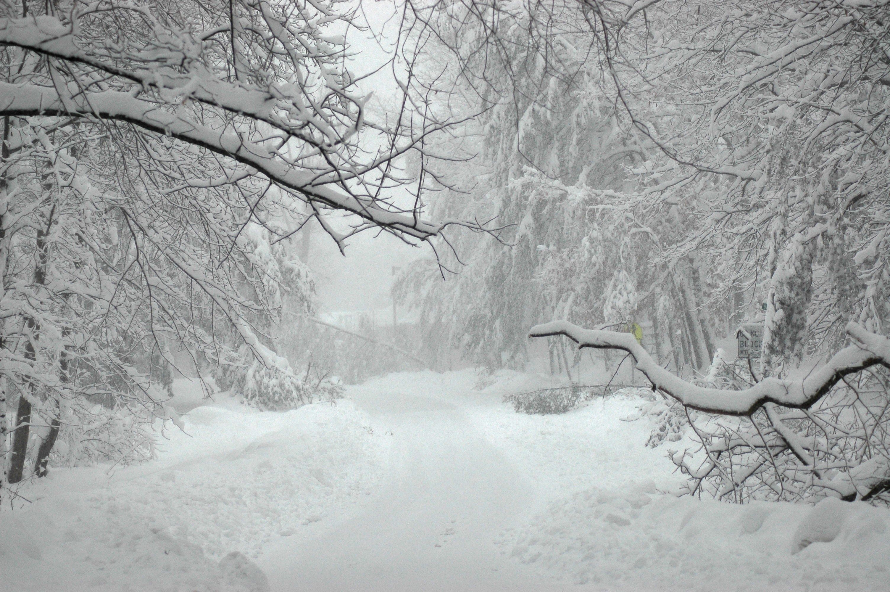 Image result for snowmageddon