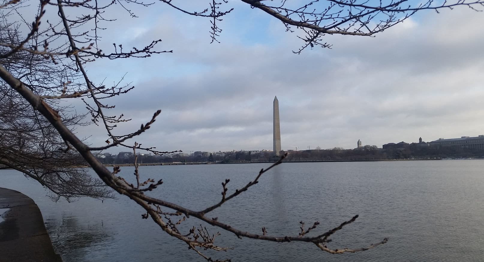 The fog gives way to balmy temperatures in D.C. on Feb. 20, 2018. (WTOP/Kathy Stewart)