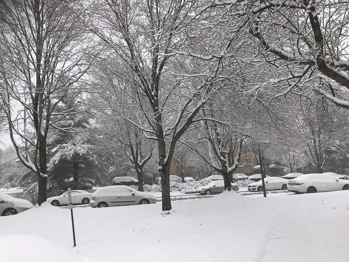 The scene in Alexandria, Virginia, a little before noon on Wednesday, March 21. (Courtesy Sylvie Nguyen-Fawley via Twitter)