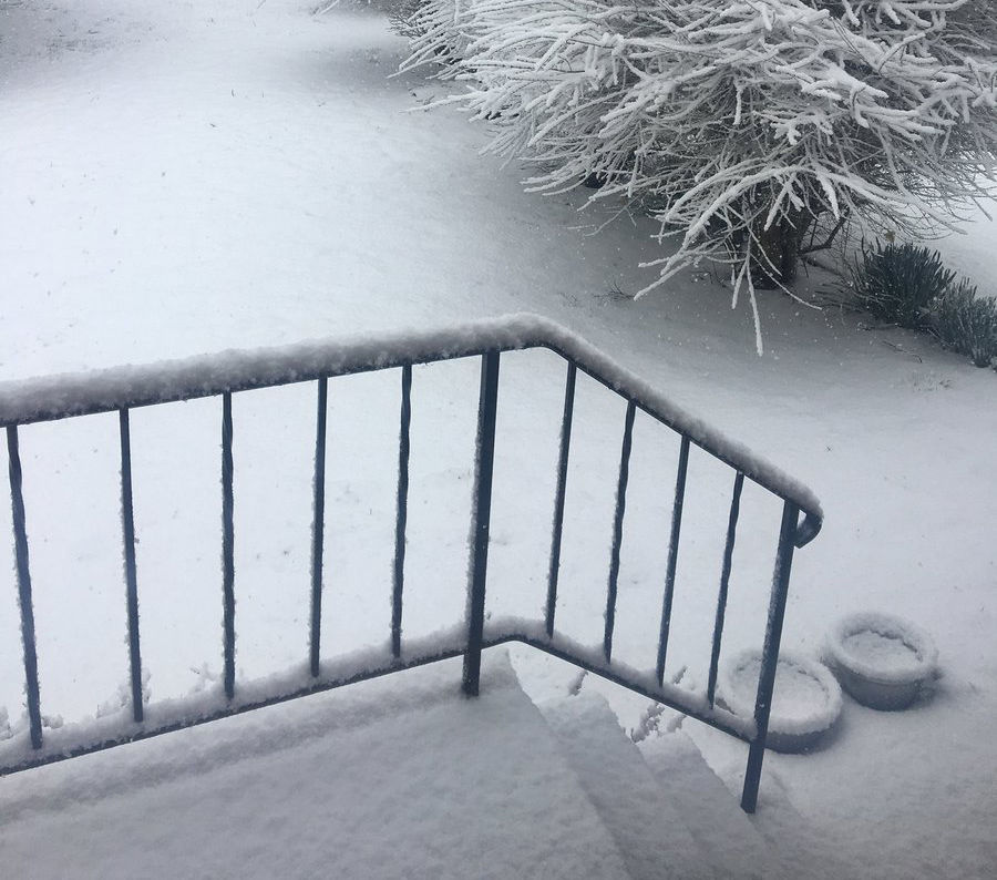 Snow fall in Calvert County, Maryland, on March 21. (Courtesy MizJawnson via Twitter)