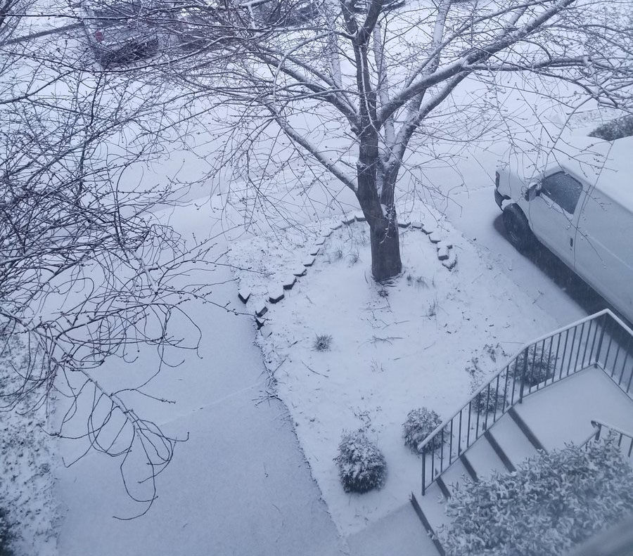 By 7:45 a.m., snow was sticking to a neighborhood road in Centreville, Virginia on Wednesday, March 21. (Courtesy Lauren R via Twitter)