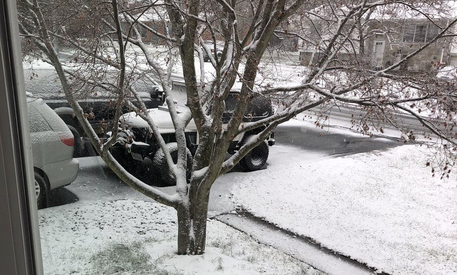 Snow sticks to the grass and some pavement in Fredericksburg, Virginia, on March 21. (Courtesy Aaron Mcaleese via Twitter)