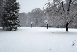 Snow falls in Manor Park in Mount Vernon, Virginia. (Courtesy David B via Twitter)