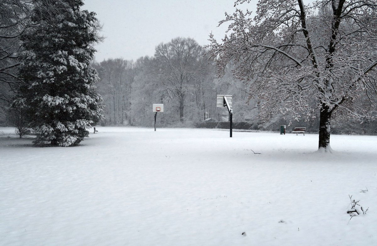 Snow falls in Manor Park in Mount Vernon, Virginia. (Courtesy David B via Twitter)