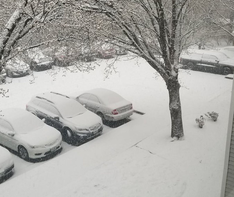 Snow coats the pavement and the grass in Oakton, Virginia, in Fairfax County. (Courtesy Jerrod S via Twitter)