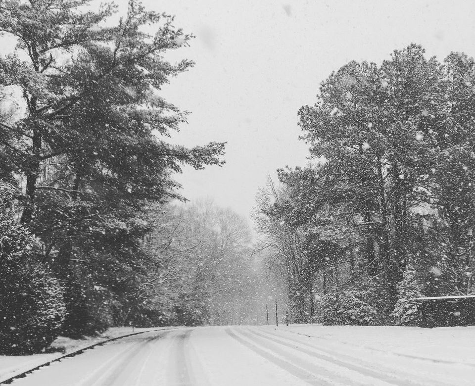 Snow sticks to the trees and the road in Reston, Virginia. (Courtesy Robbie Nolan via Twitter)