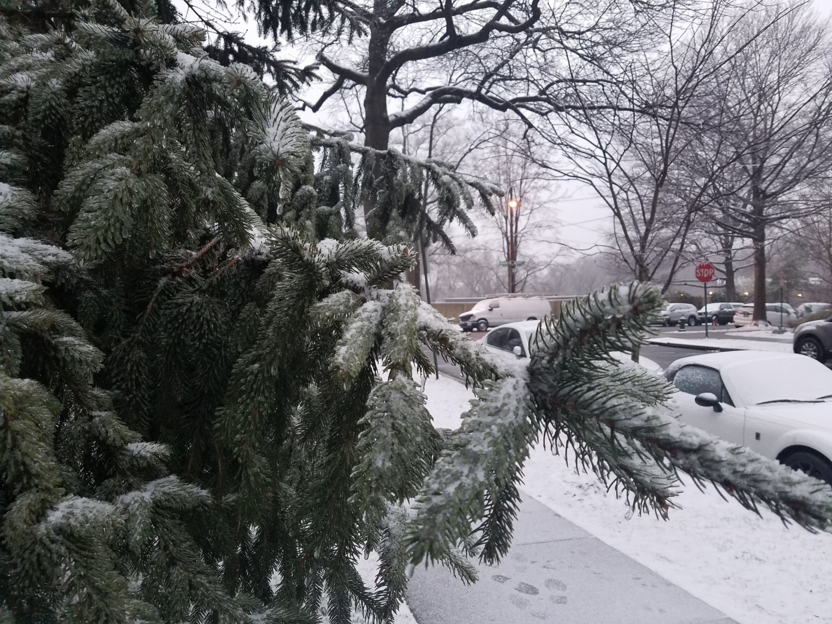Wednesday's forecast called for plenty of snow in the Washington area. (WTOP/William Vitka)