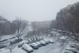 A snowy view in Northwest from outside the Glass-Enclosed Nerve Center. (WTOP/William Vitka)