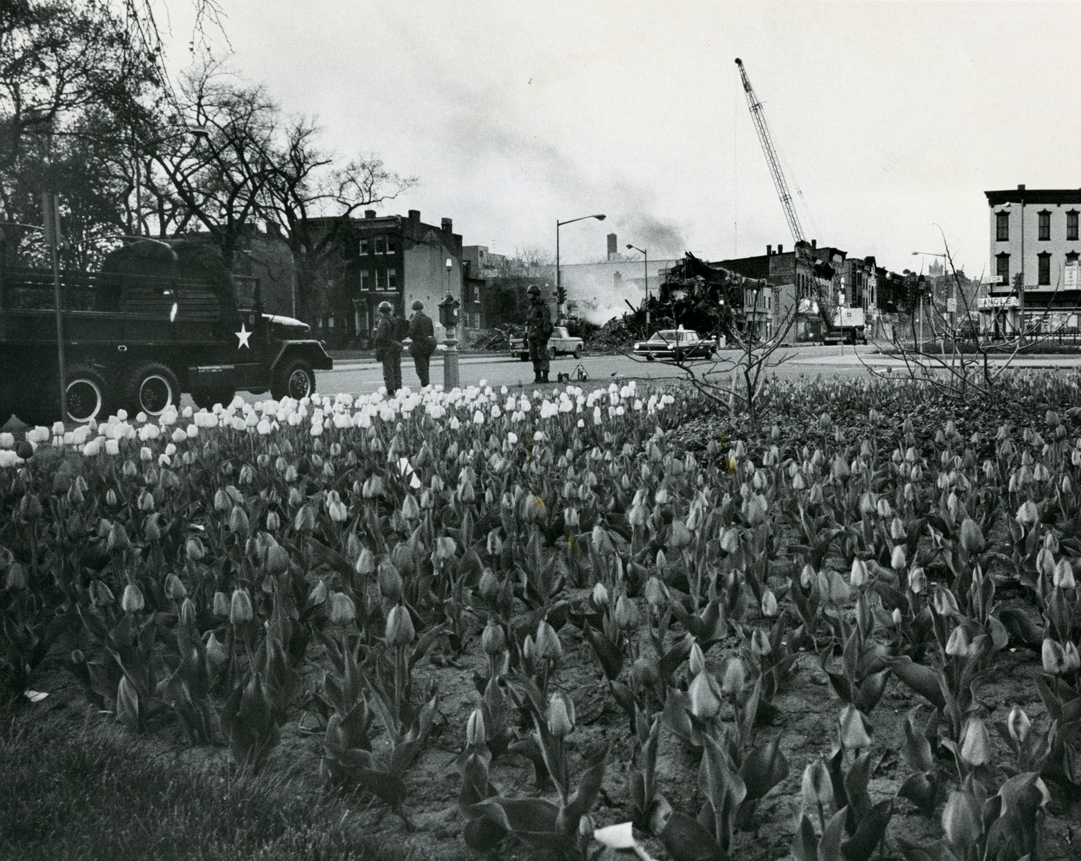 April tulips mingle in the shadow of smoldering ruins and armed troops. Reprinted with permission of the DC Public Library, Star Collection, © Washington Post.