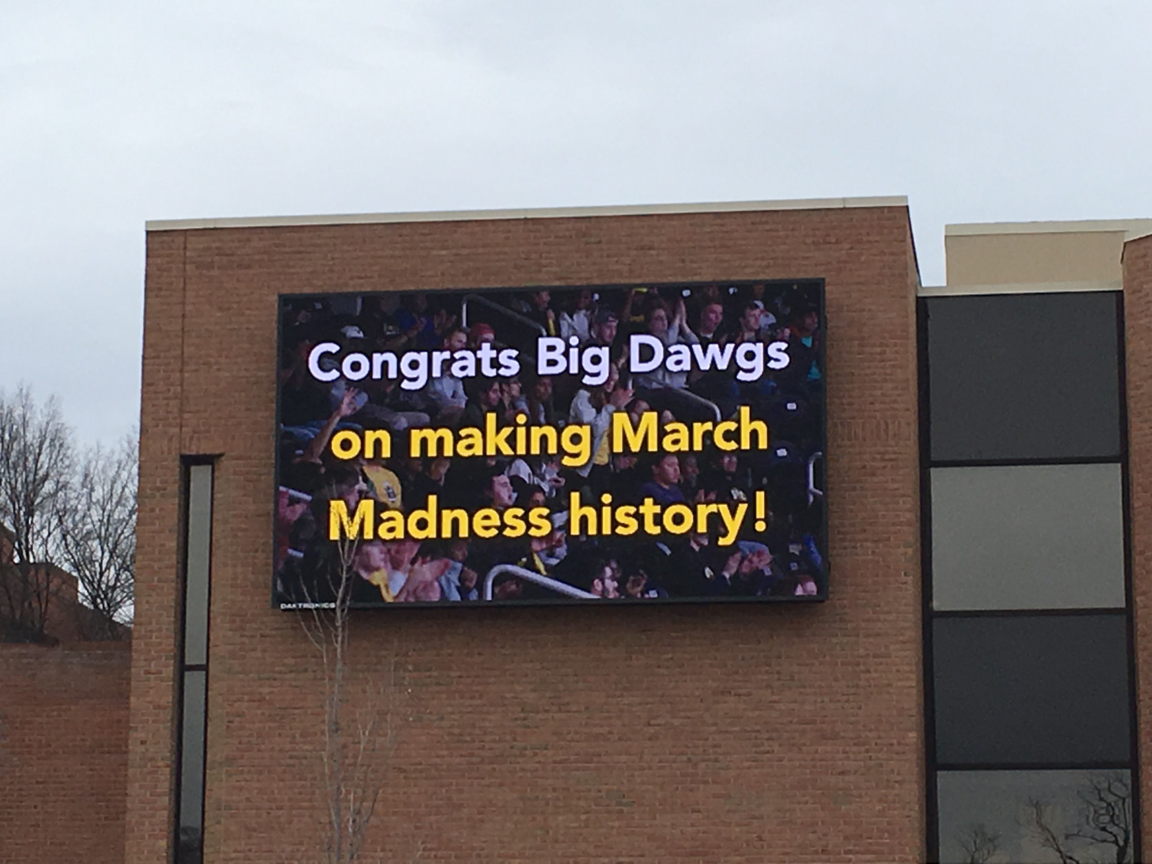 The UMBC campus celebrates its historic men’s basketball victory. (WTOP/Keara Dowd)