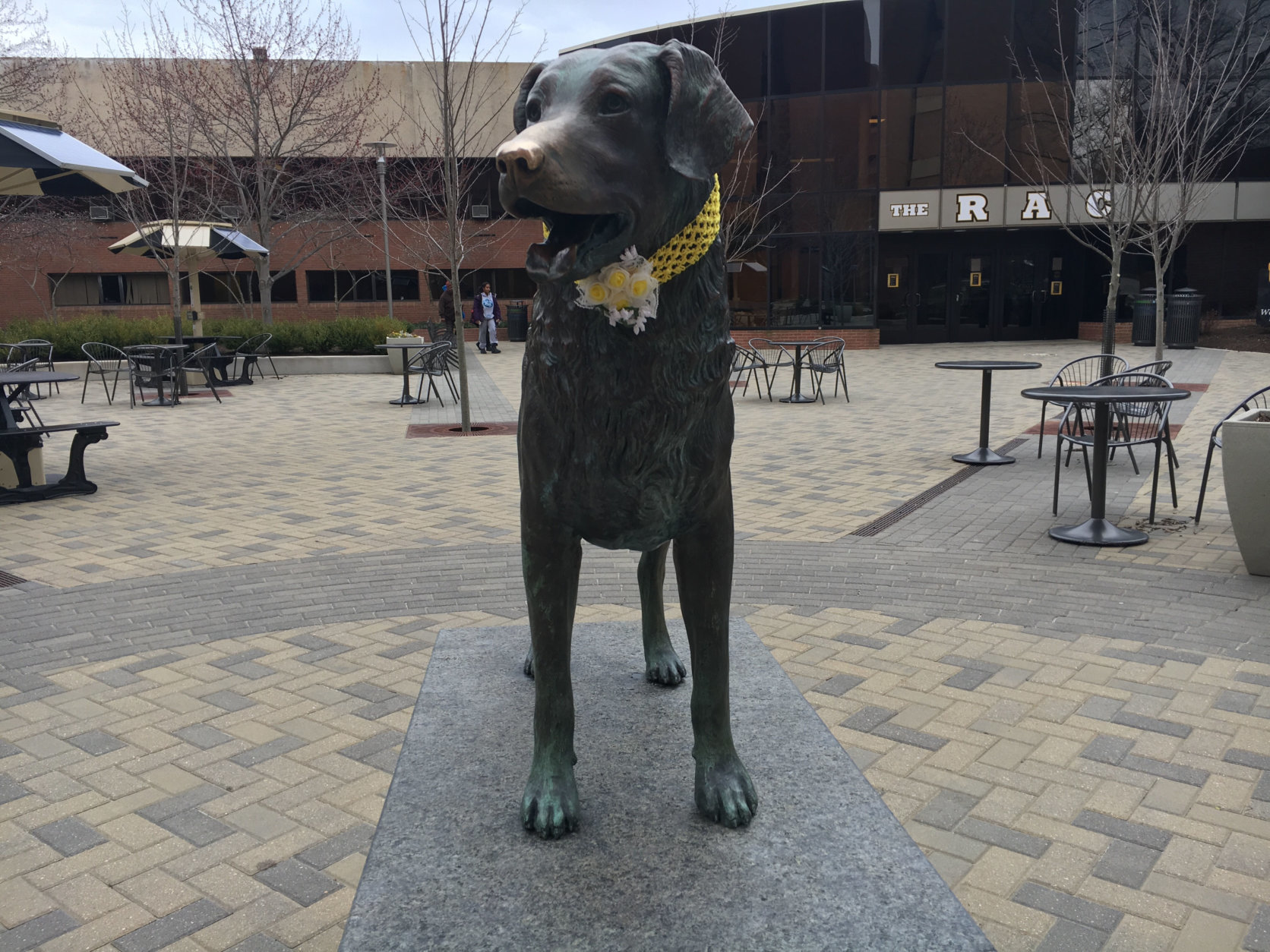 The UMBC mascot, fittingly named “True Grit,” dressed up for the occasion. (WTOP/Keara Dowd)