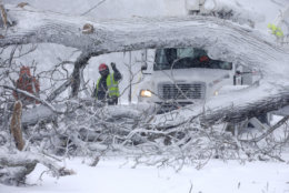 Workers remove a fallen tree from a road and repair power lines during a winter storm, Tuesday, March 13, 2018, in Norwell, Mass. A nor'easter that could deliver up to 2 feet of snow to some areas socked New England on Tuesday, bringing blizzard conditions to parts of Massachusetts, covering highways with snow and knocking out power to tens of thousands. (AP Photo/Steven Senne)
