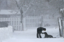 Whitney Eakin, of Scituate, Mass., plays with her Labrador mix dog named Rudder, during a winter storm, Tuesday, March 13, 2018, in Scituate. The nor'easter is expected to deliver up to 2 feet of snow to some areas of New England. (AP Photo/Steven Senne)