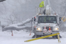 Workers remove a fallen tree from a road and repair power lines during a winter storm, Tuesday, March 13, 2018, in Norwell, Mass. The nor'easter is expected to deliver up to 2 feet of snow to some areas of New England. (AP Photo/Steven Senne)
