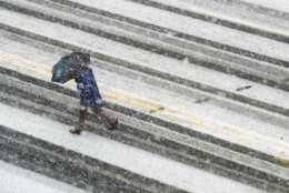 A pedestrian races across the snow covered and tire streaked street in Washington during a spring storm, Wednesday, March 21, 2018. (AP Photo/J. David Ake)