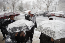 Ben Stein from Brandon, Miss., uses a folder to shield his head from falling snow as he waits in line to go through security to enter Dirksen Senate Office Building on Capitol Hill in Washington, Wednesday, March 21, 2018. The coming spring nor'easter caused the federal government to close its offices in the Washington area. (AP Photo/Carolyn Kaster)