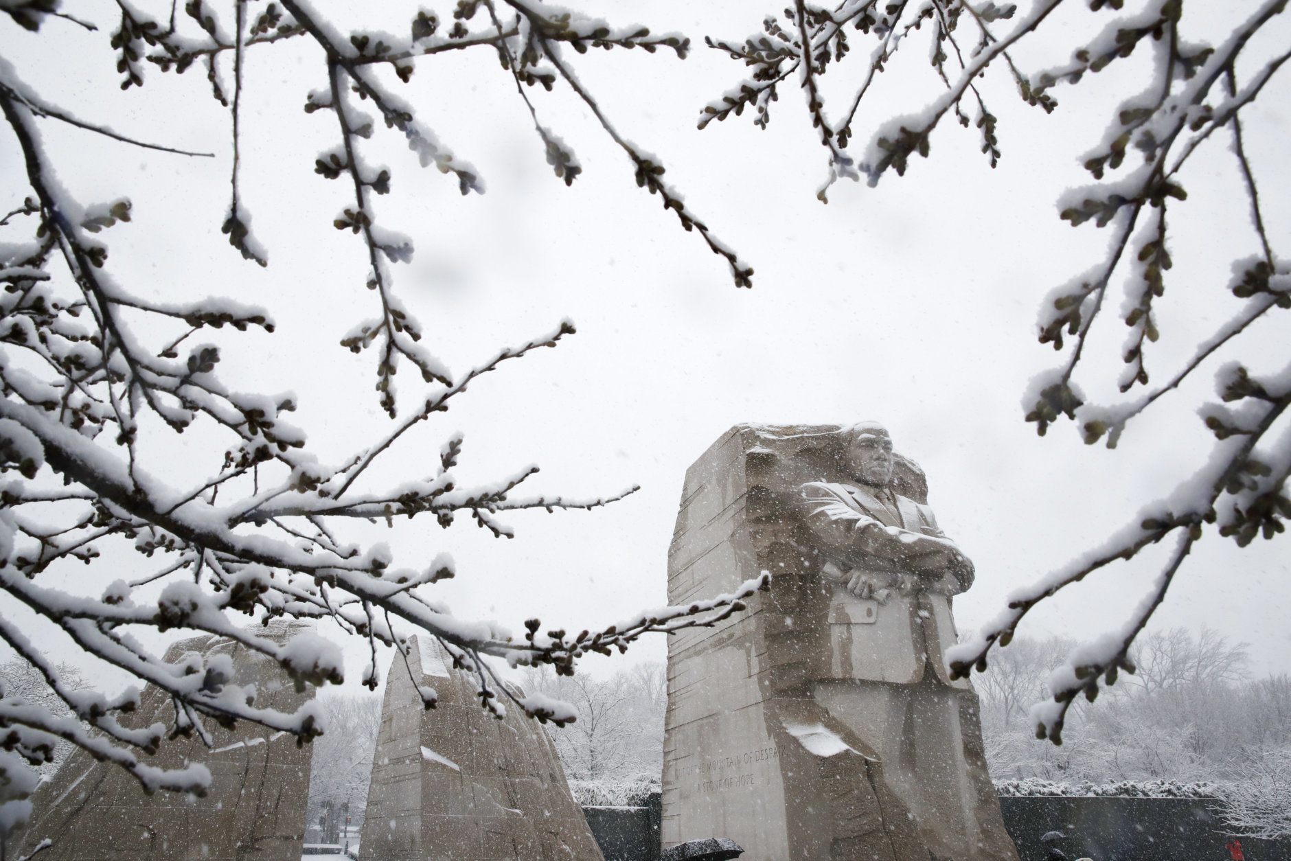 Snow coats cherry blossom trees and the Martin Luther King Jr., Memorial as the snow falls, Wednesday, March 21, 2018, in Washington during a snow storm on the second day of spring. (AP Photo/Jacquelyn Martin)