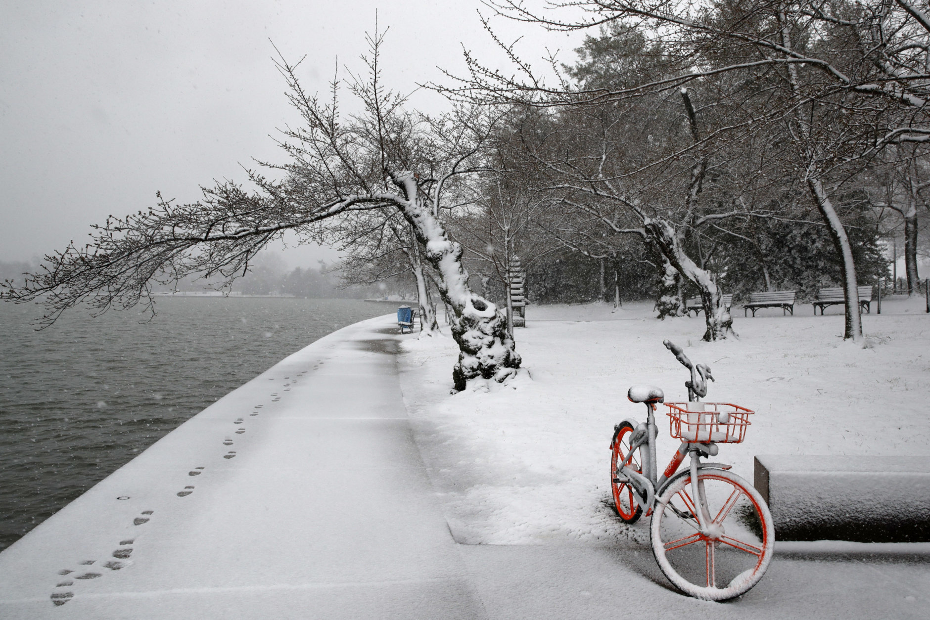 Snow falls on a lone bicycle and cherry blossom trees at the tidal basin, Wednesday, March 21, 2018, in Washington during a snow storm on the second day of spring. (AP Photo/Jacquelyn Martin)