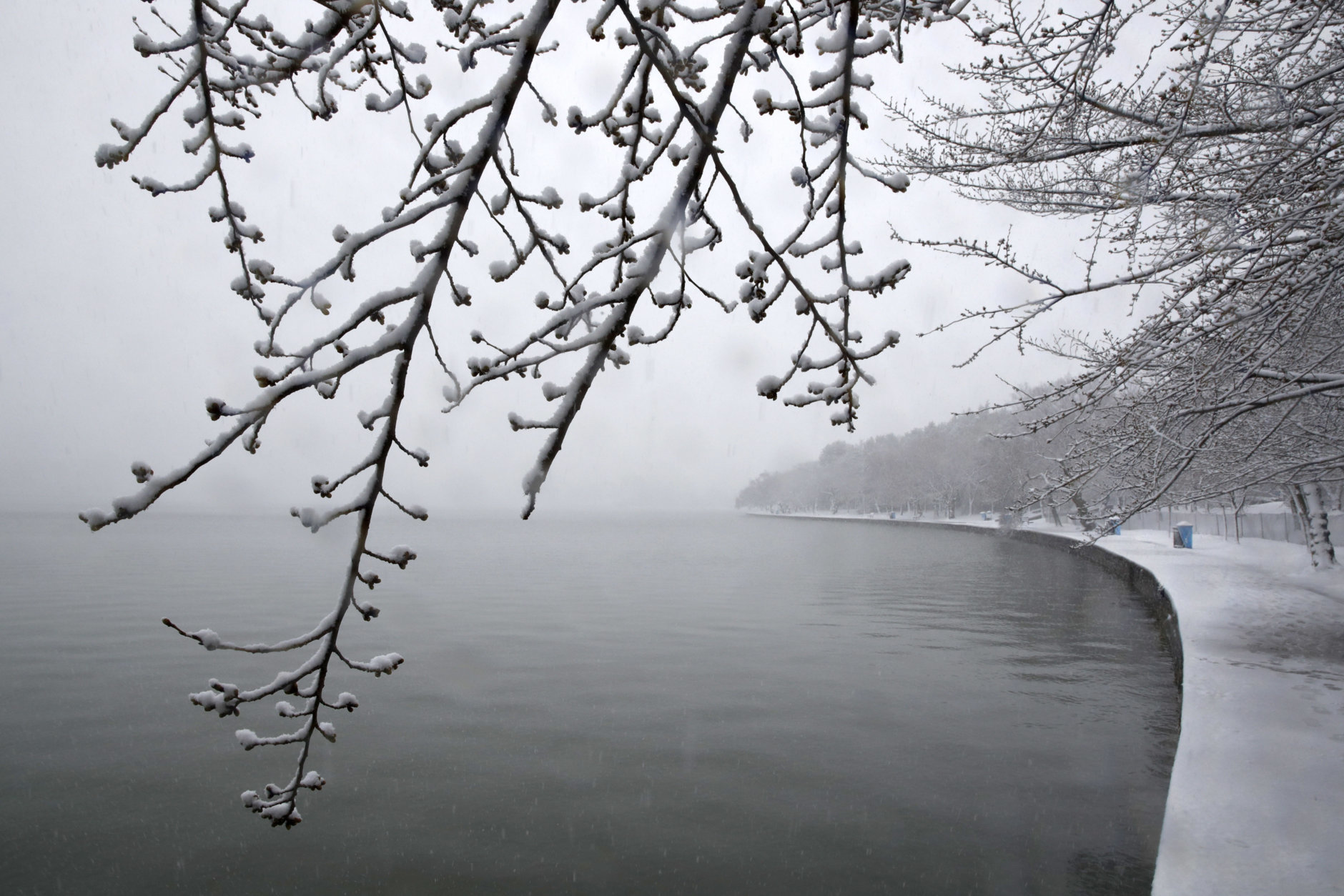 The monuments in the distance are obscured by falling snow as a snow storm increases in strength, coating cherry blossom trees at the tidal basin, Wednesday, March 21, 2018, in Washington, during a snow storm on the second day of spring. (AP Photo/Jacquelyn Martin)
