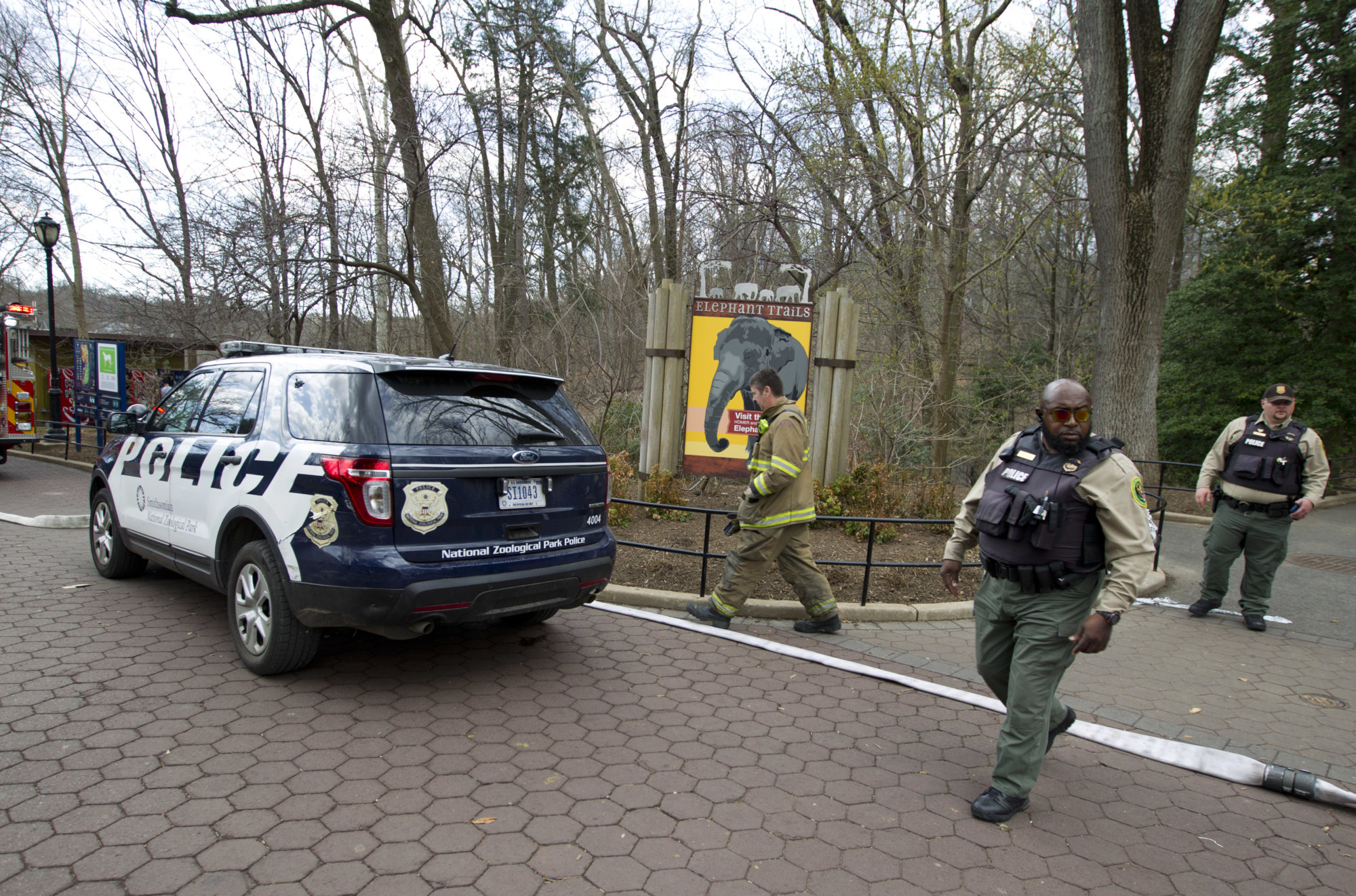 National Zoo expands security for spring break WTOP News