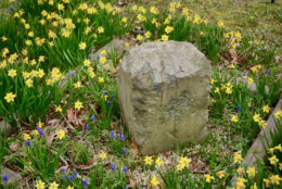 The original west boundary stone, it still sits at the western tip of Arlington County. (WTOP/Dave Dildine)