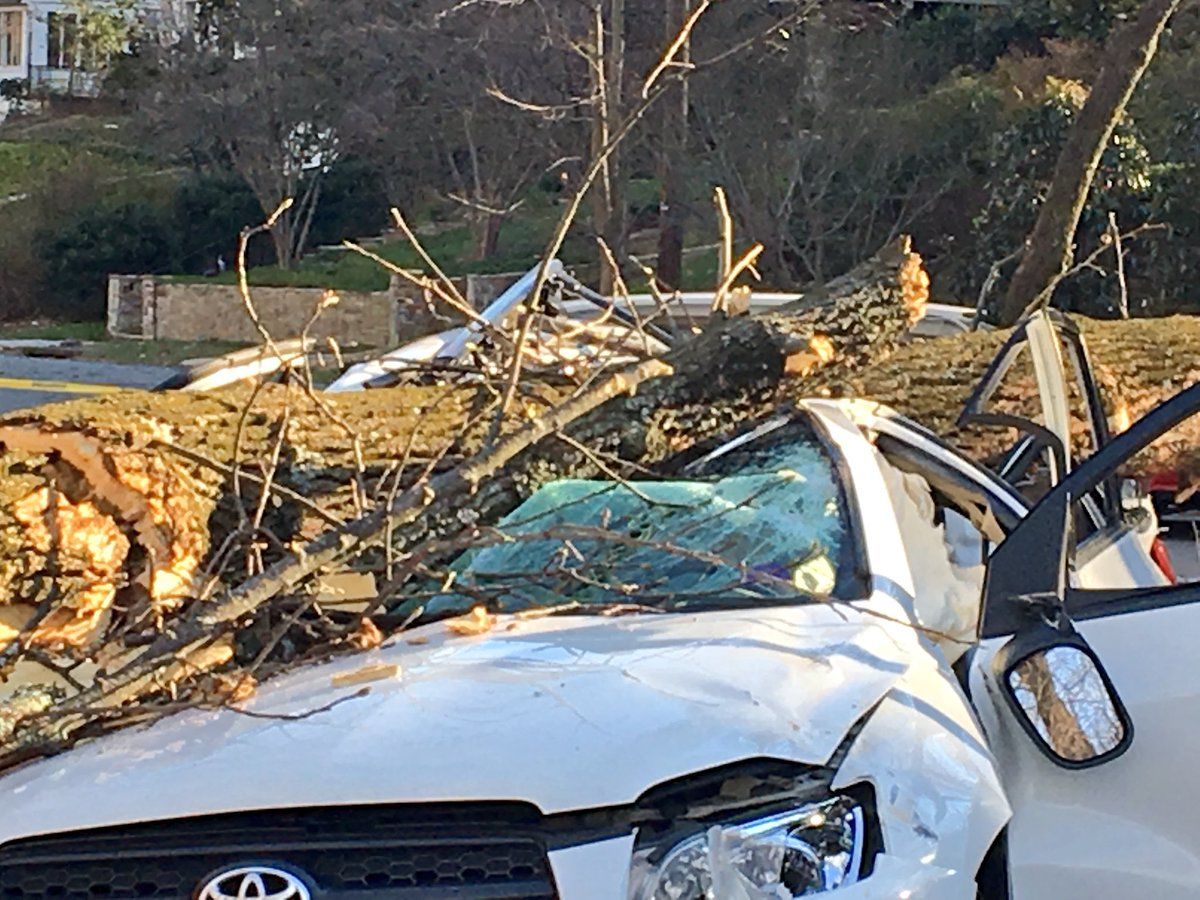 The downed tree left the driver with life-threatening injuries. (Courtesy D.C. Fire and EMS)
