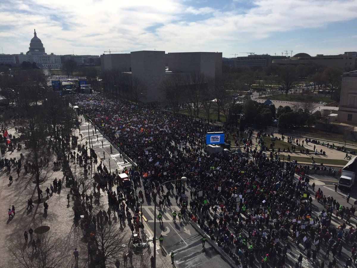 Crowds gather for the March for Our Lives in D.C. (Courtesy of Indivisble Brooklyn on Twitter)