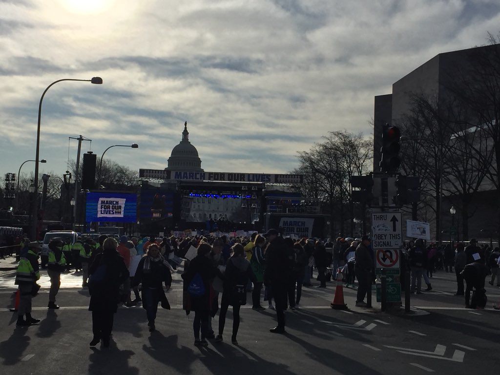Crowds gather for the D.C. March for Our Lives rally. (WTOP/John Domen)
