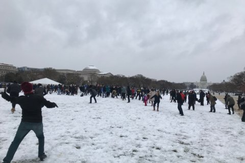 ‘The Great Snowakening’: Large snowball fight kicks off at Smithsonian Castle