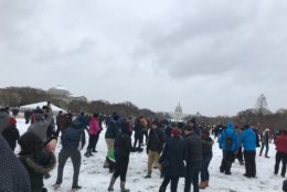 A snowball battle takes place at the National Mall on Wednesday, March 21, 2018. It was organized through Facebook and bears the name "Toby or Not Toby" for the winter storm. (WTOP/Dick Uliano)