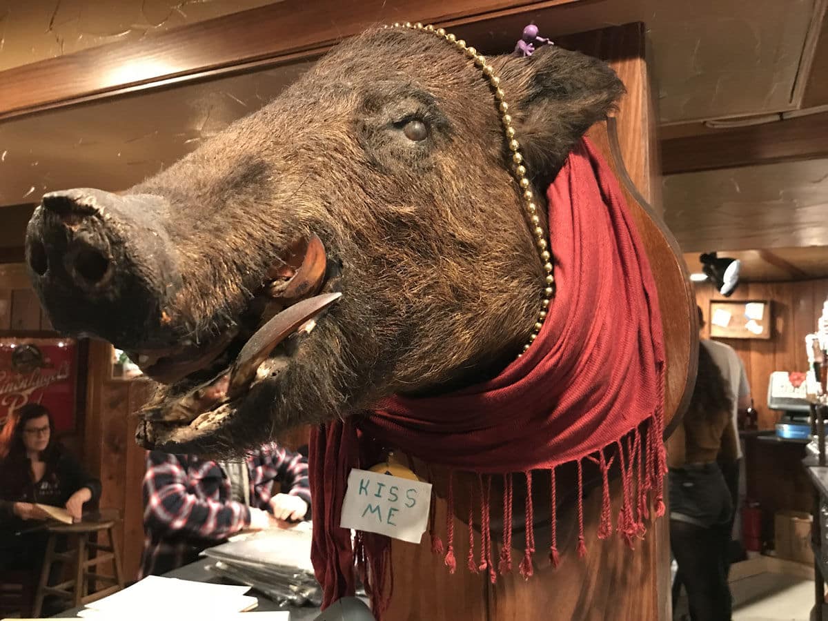 There's another feature at the bar: a stuffed boar's head. (WTOP/Michelle Basch)