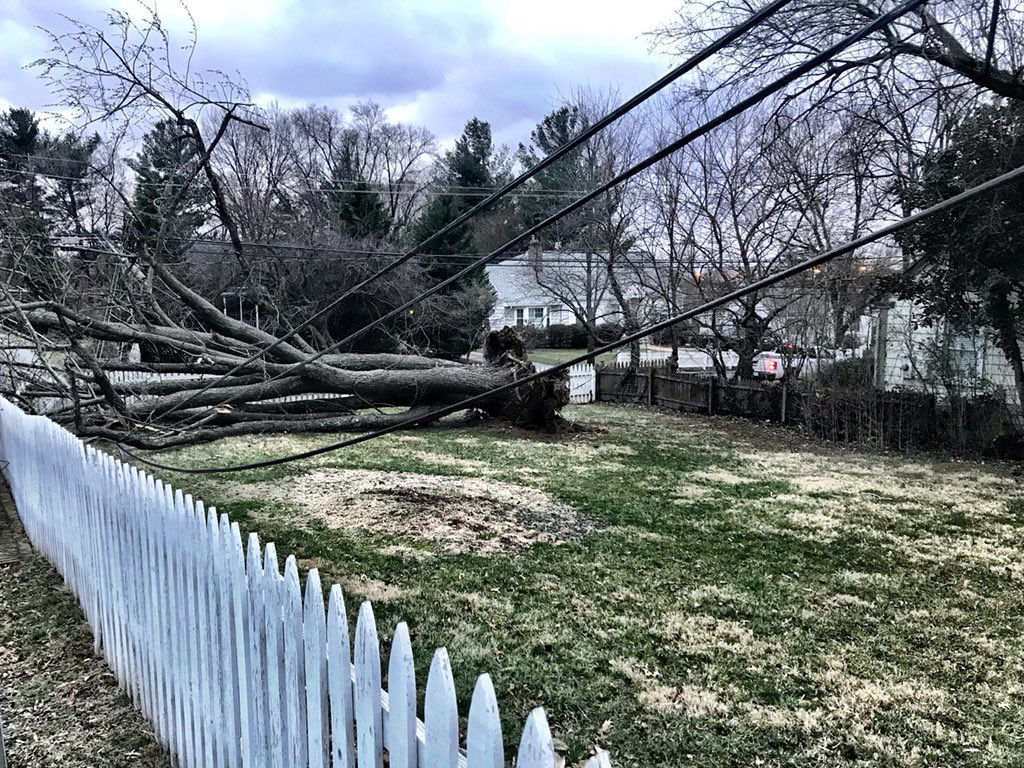 A tree knocked down by the wind at Queen Street and Ferry Road, pulling down power lines and a pole in Leesburg, Virginia. (WTOP/Neal Augensten)