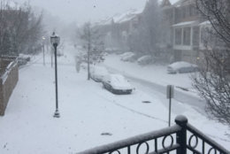 Snow falling in Leesburg. (WTOP/Chantalle Edmunds)