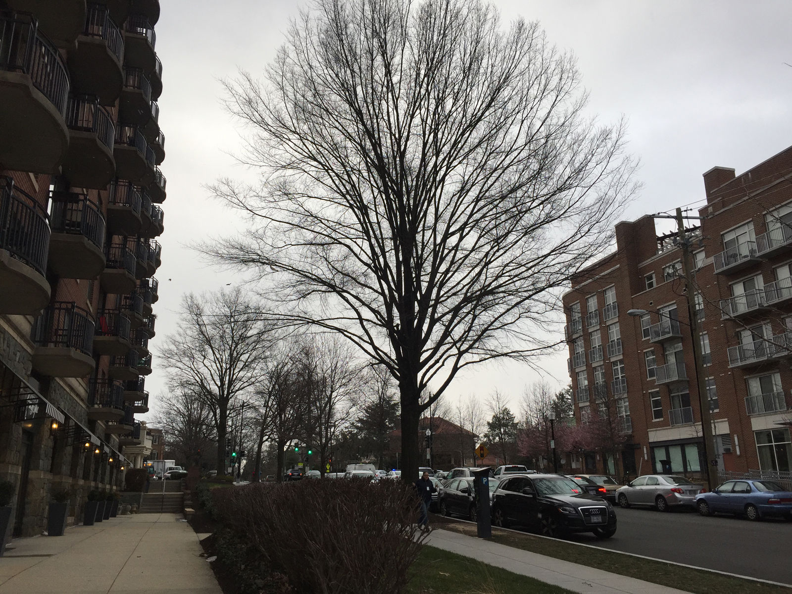 Photo shows flurries in D.C.