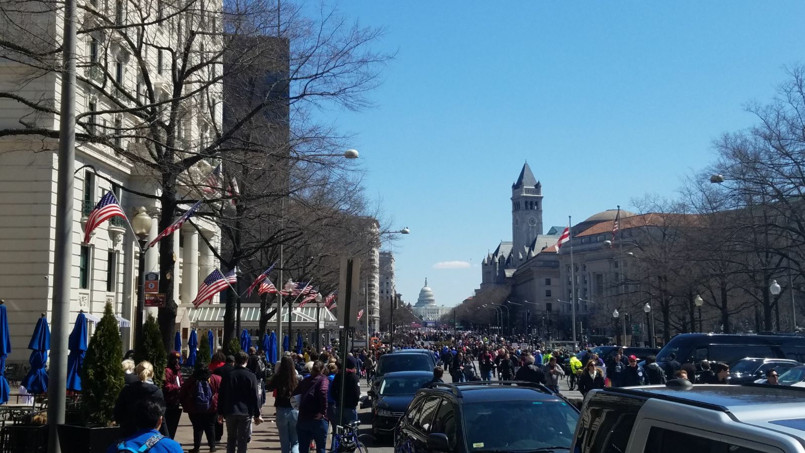 Crowds at Saturday's March For Our Lives rally. (Courtesy Olivia Prieto) 