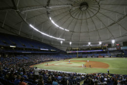 One of the last domed stadiums left in baseball, Tropicana Field, the home of the Tampa Bay Rays is No. 16 on the list with the average cost at $70. One big benefit of the Trop is that parking is free. File. (AP Photo/Chris O'Meara)